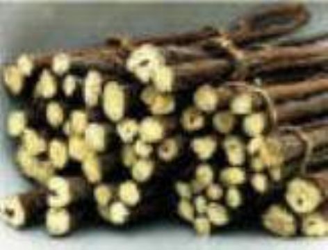 Licorice Extract